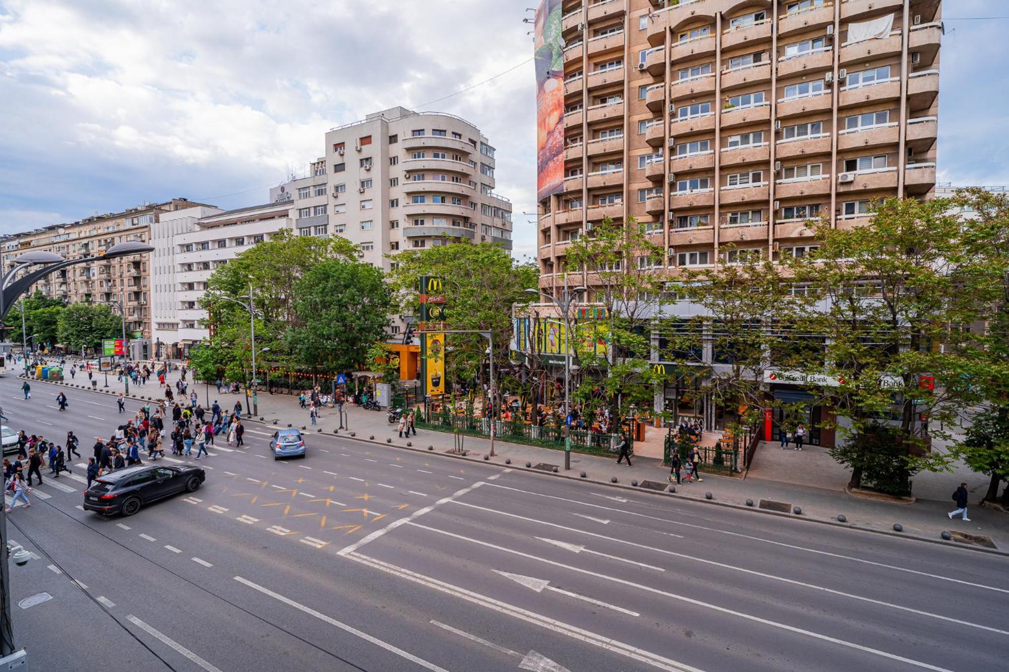 Cozy Near Calea Victoriei Appartamento *
