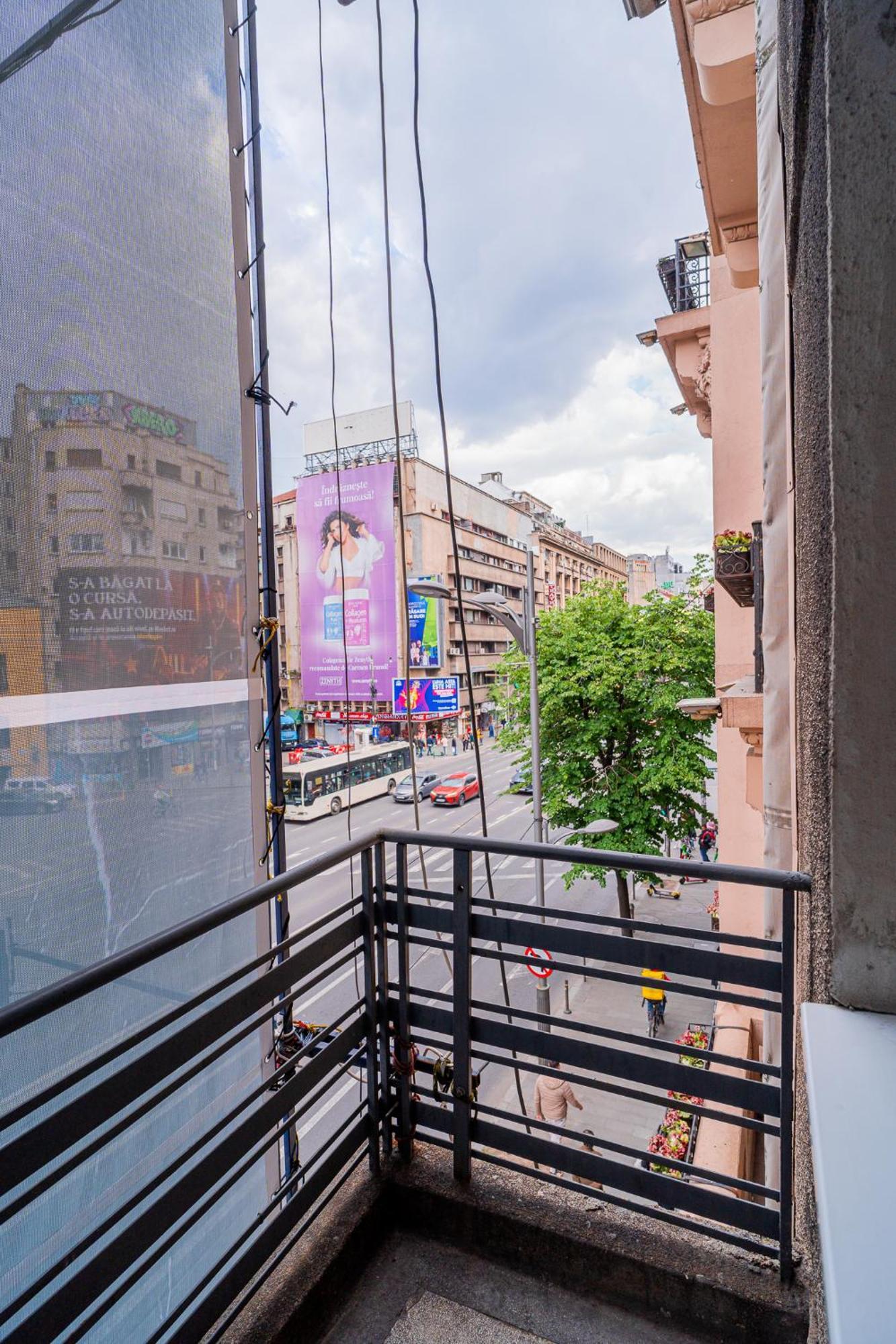 Cozy Near Calea Victoriei